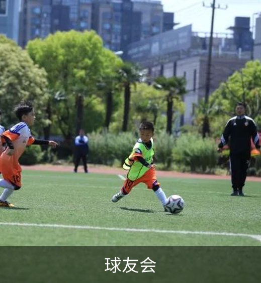 球友会简介
